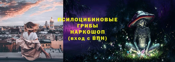 apvp Богородицк